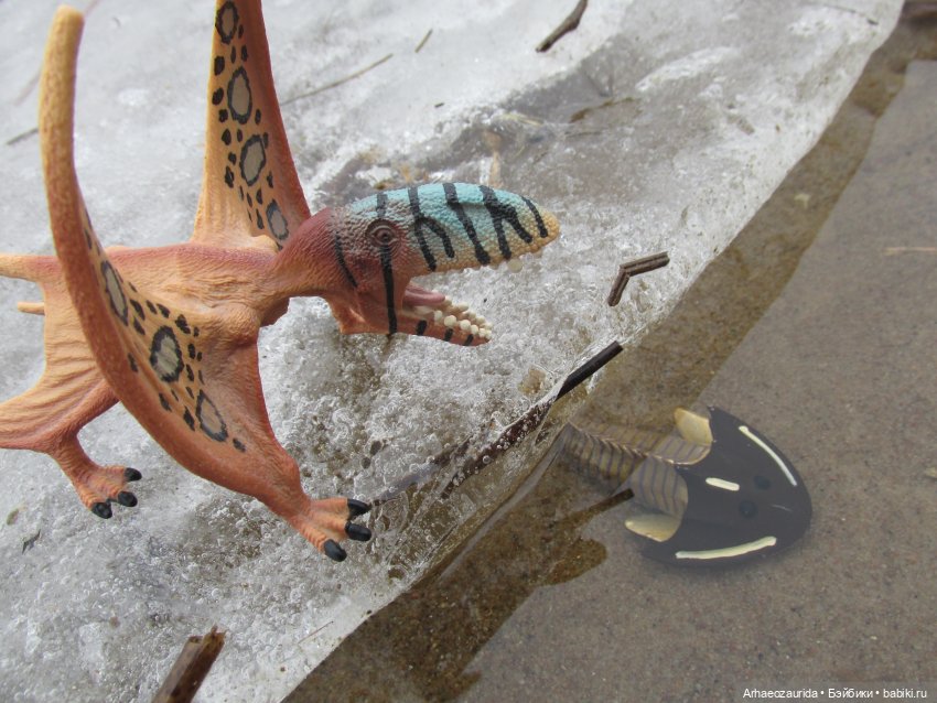 Ящеры у реки: очень скользко (фото 10)