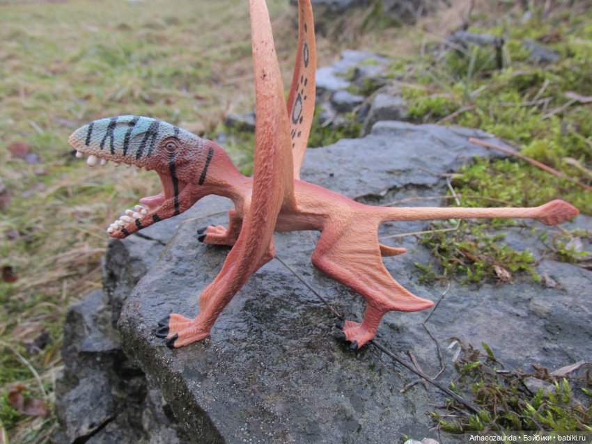 Ящеры у реки: очень скользко (фото 7)