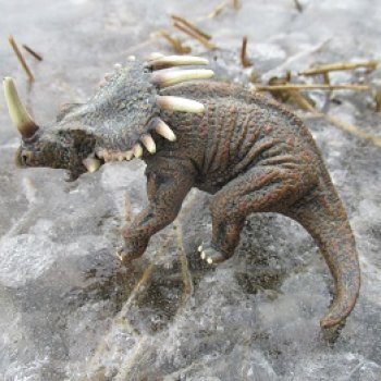 Ящеры у реки: очень скользко