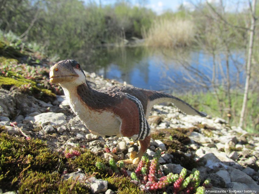 Каменное Озеро: танцы на осыпи (фото 7)