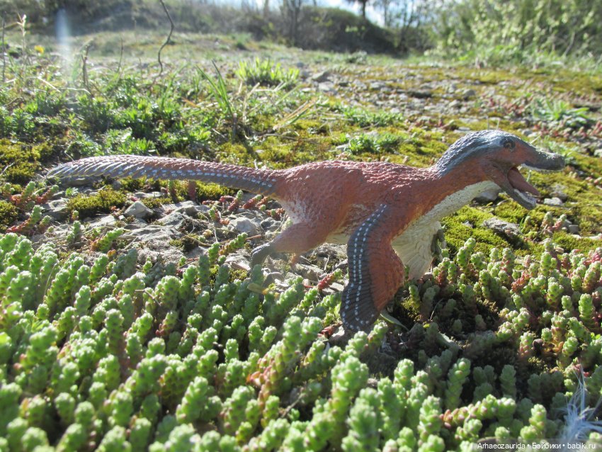 Каменное Озеро: танцы на осыпи (фото 5)