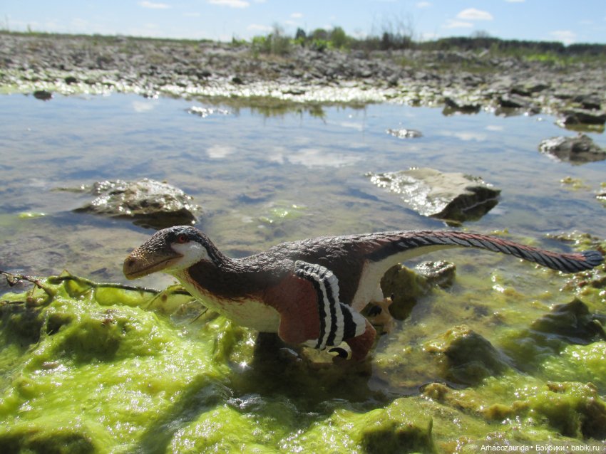 Каменное Озеро: танцы на осыпи (фото 3)