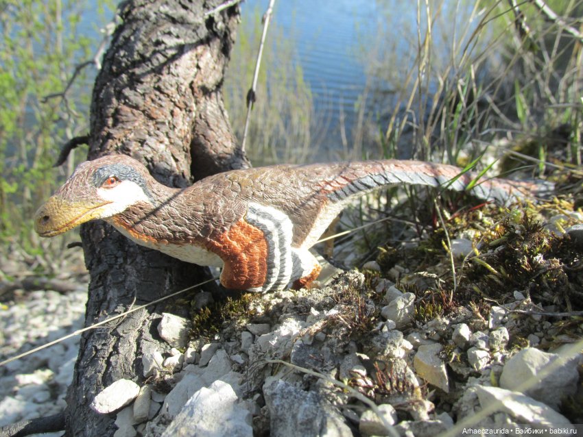 Каменное Озеро: танцы на осыпи (фото 8)