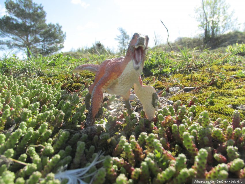 Каменное Озеро: танцы на осыпи (фото 6)