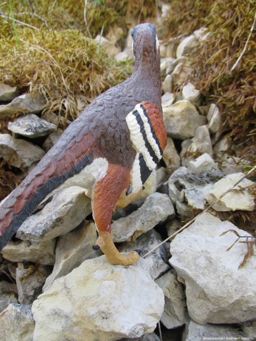 Каменное Озеро: танцы на осыпи