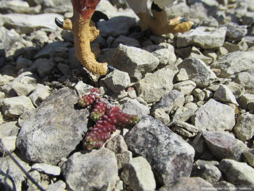 Каменное Озеро: танцы на осыпи