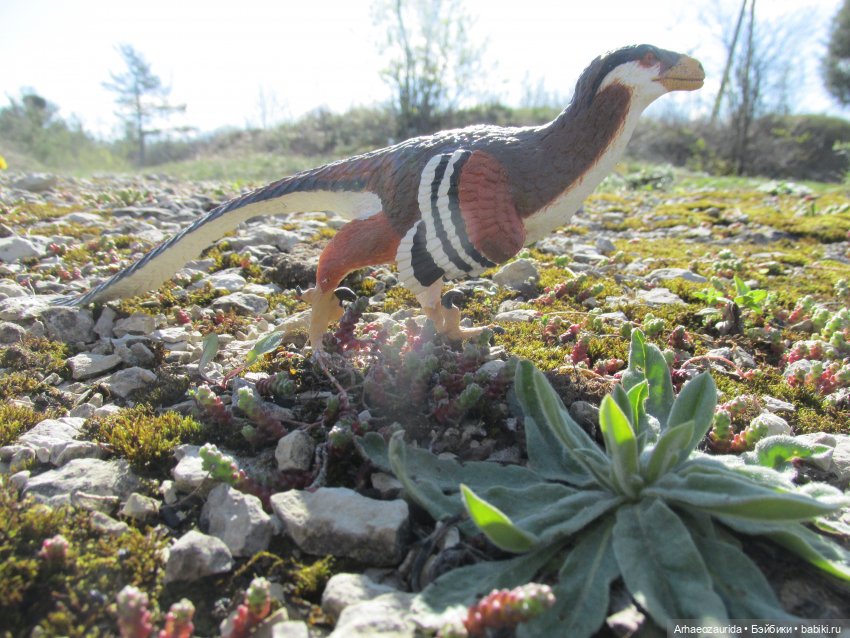 Каменное Озеро: танцы на осыпи (фото 2)