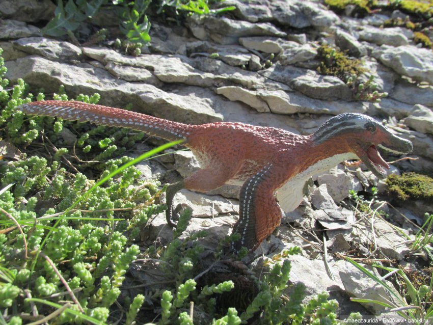 Каменное Озеро: танцы на осыпи (фото 9)