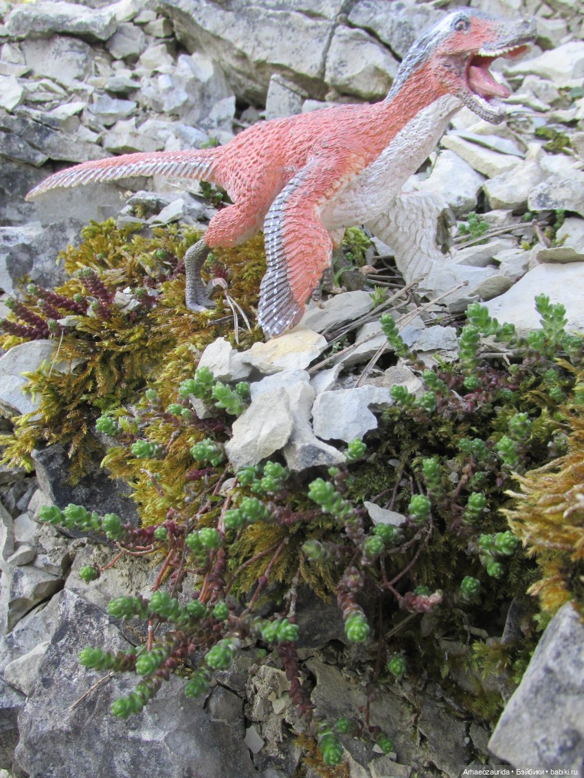 Каменное Озеро: танцы на осыпи (фото 10)