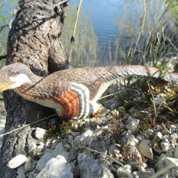 Каменное Озеро: танцы на осыпи