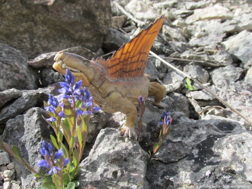 Ящеры у реки: в мутной воде (фото 8)