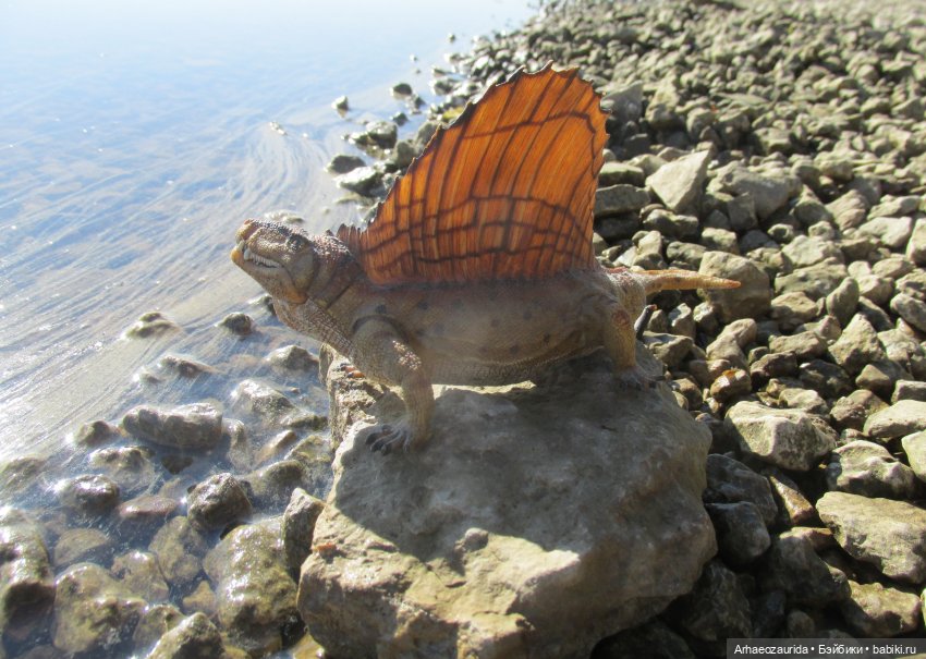 Ящеры у реки: в мутной воде