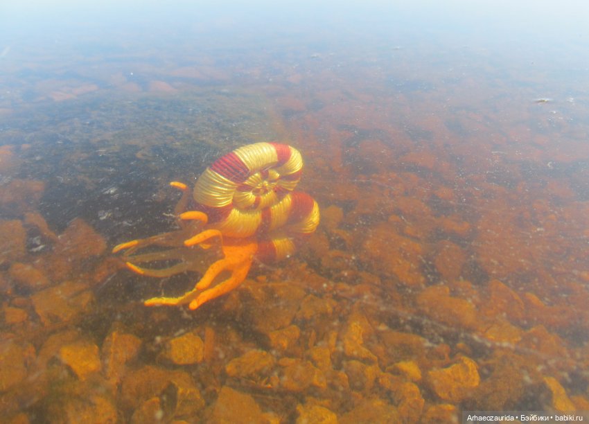 Ящеры у реки: в мутной воде (фото 3)