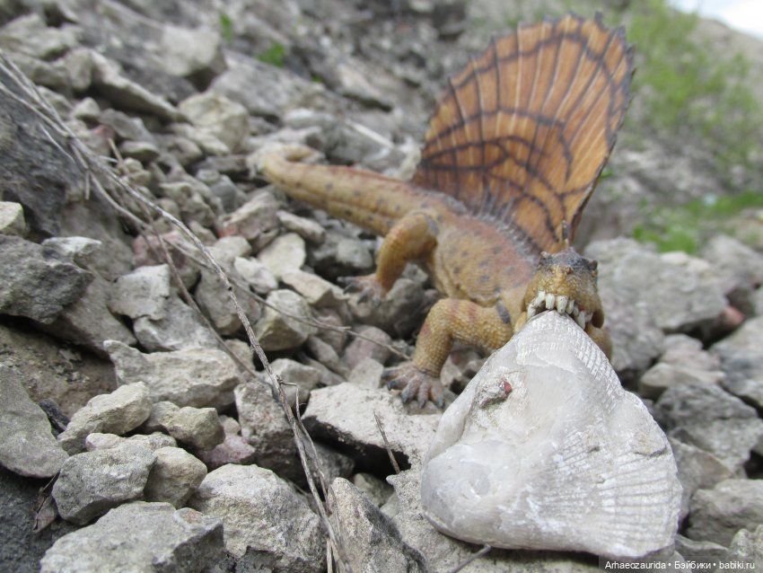 Ящеры у реки: в мутной воде