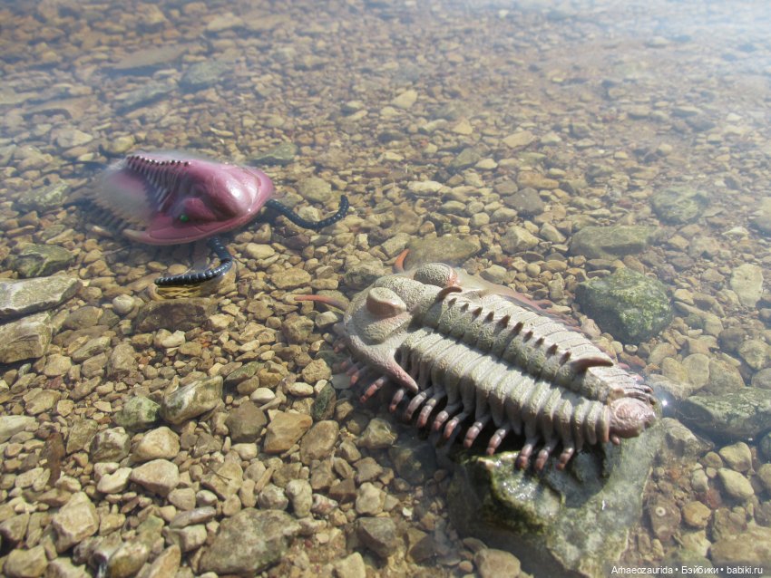 Трилобиты на Холмах и у Реки