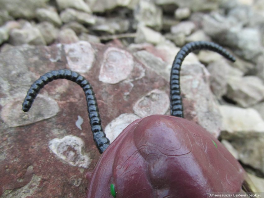 Трилобиты на Холмах и у Реки