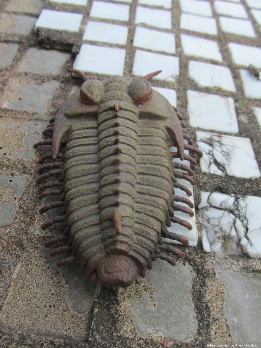 Трилобиты на Холмах и у Реки (фото 5)