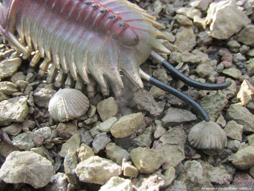 Трилобиты на Холмах и у Реки