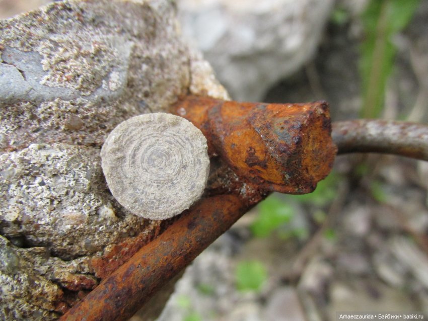 Возвращение в Землю Древних, часть 1 (фото 10)