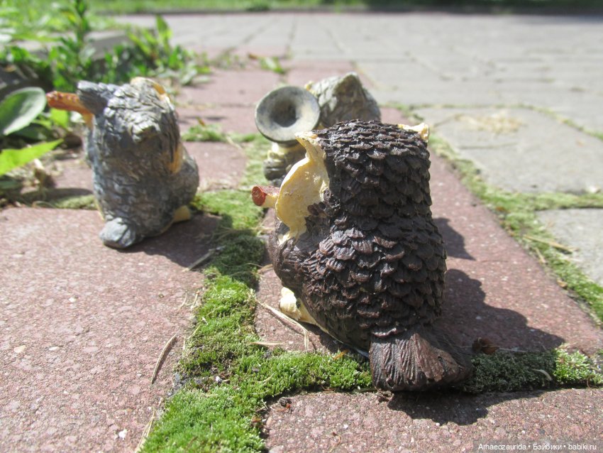 Совиное Трио: рассказ Джо