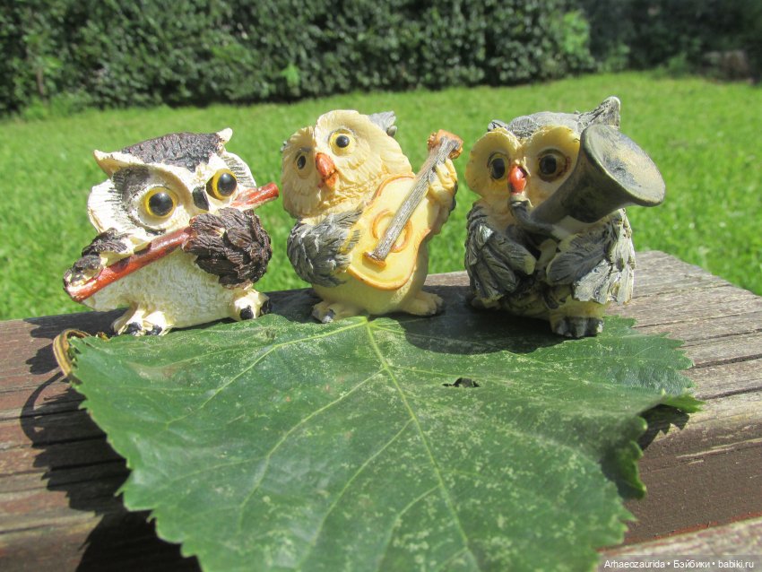 Совиное Трио: рассказ Джо