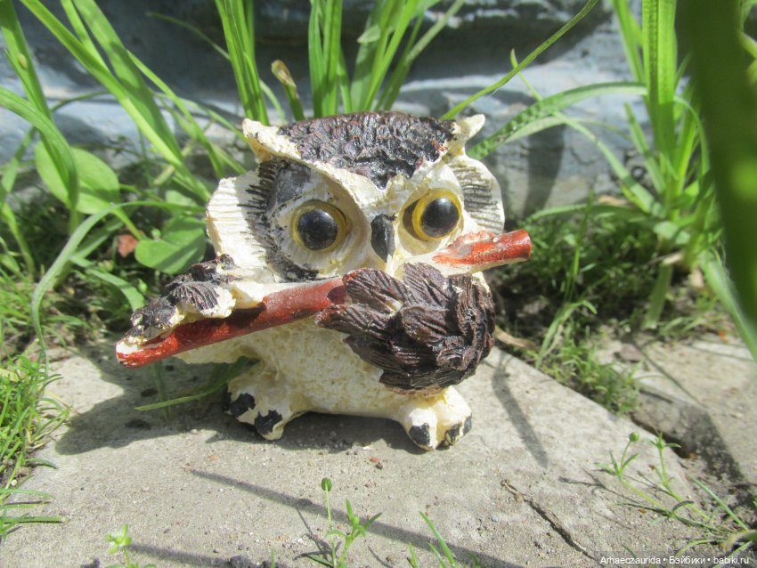 Совиное Трио: рассказ Джо (фото 5)