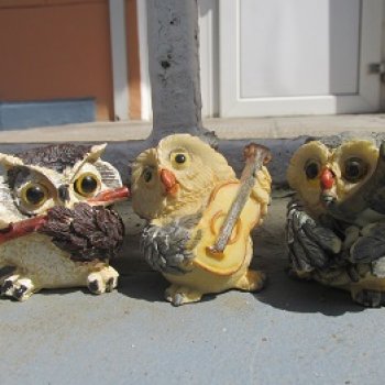 Совиное Трио: рассказ Джо