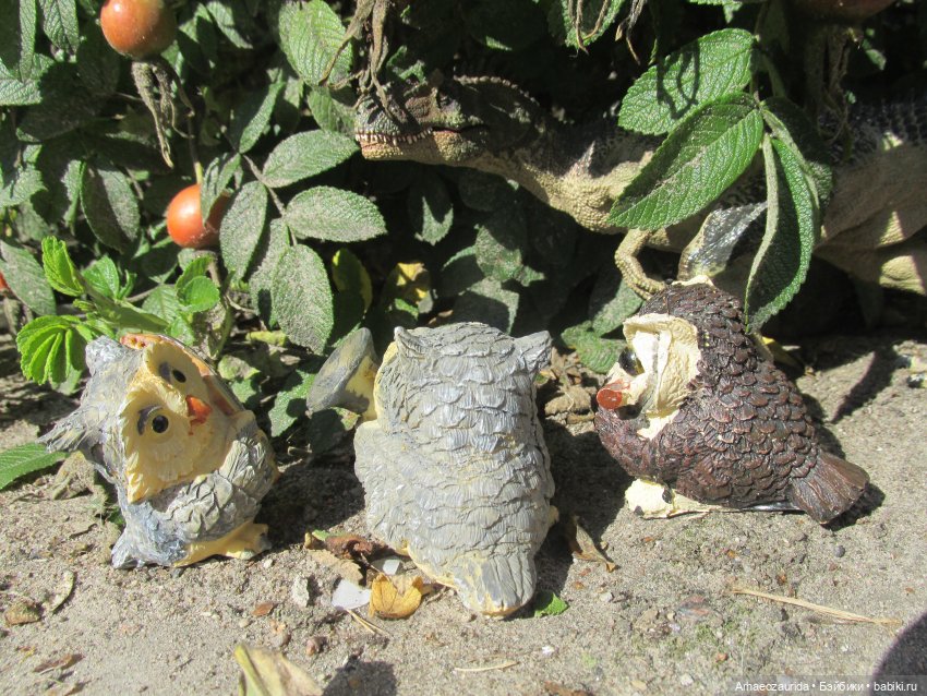 Возвращение в Землю Древних, часть 4: По следам Зурги (фото 3)