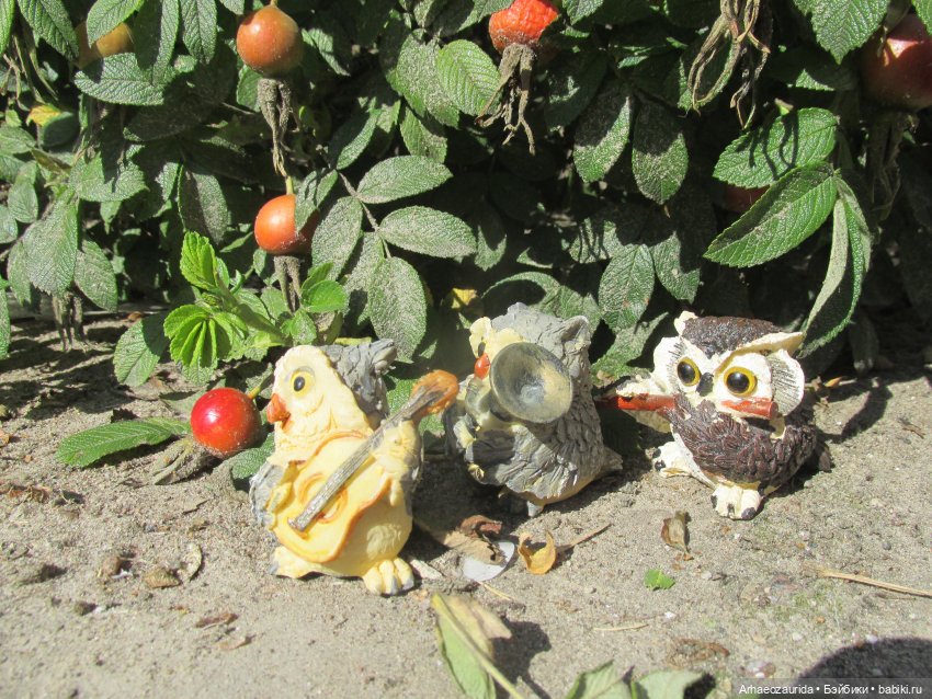 Возвращение в Землю Древних, часть 4: По следам Зурги