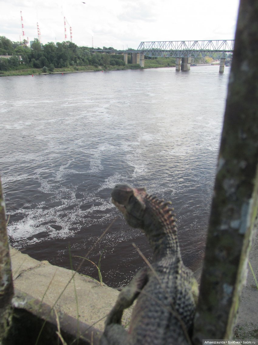 Возвращение в Землю Древних, часть 4: По следам Зурги