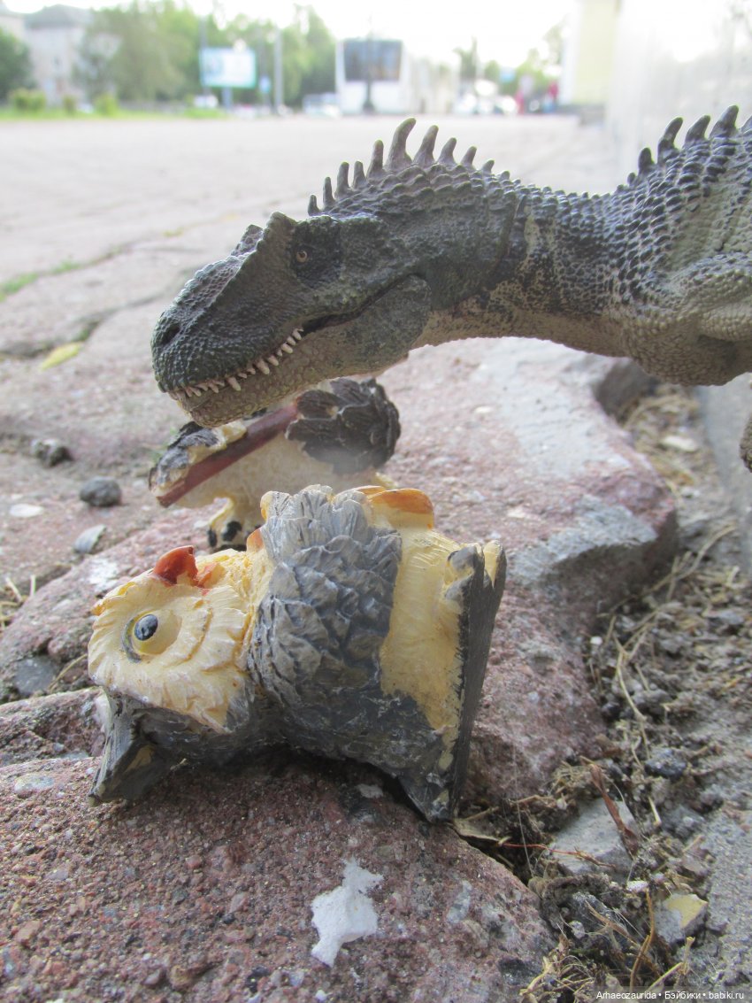 Возвращение в Землю Древних, часть 4: По следам Зурги (фото 10)