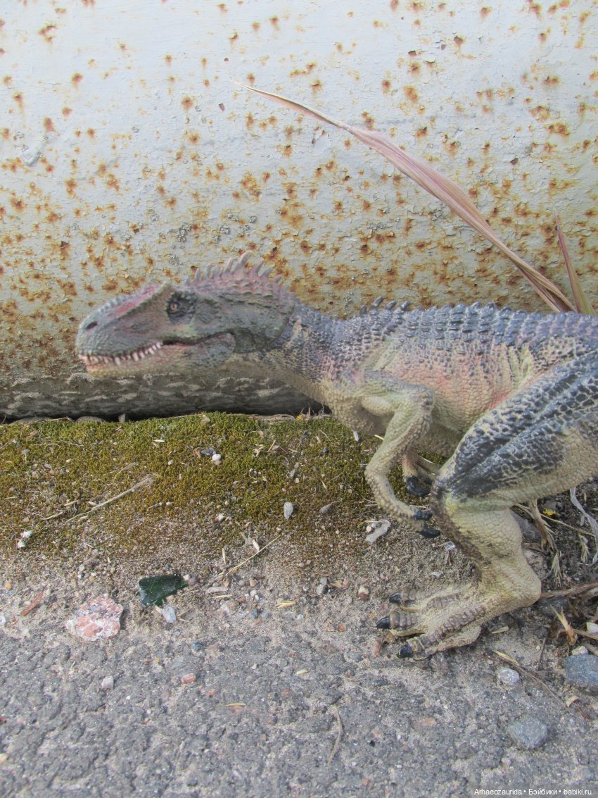 Возвращение в Землю Древних, часть 4: По следам Зурги