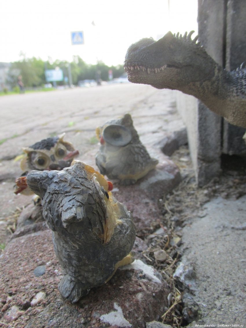 Возвращение в Землю Древних, часть 4: По следам Зурги (фото 9)