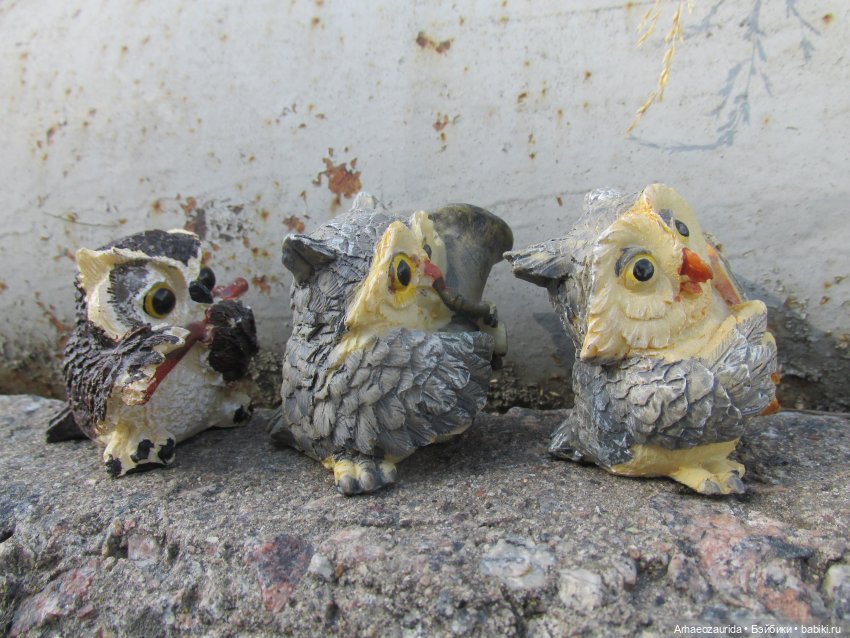 Возвращение в Землю Древних, часть 4: По следам Зурги