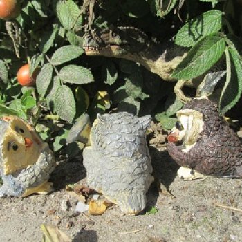 Возвращение в Землю Древних, часть 4: По следам Зурги