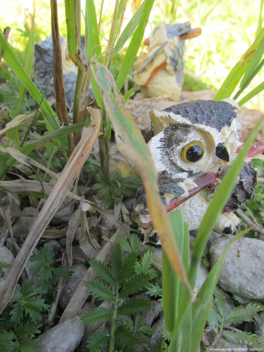 Возвращение в Землю Древних, часть 5: Чужая река