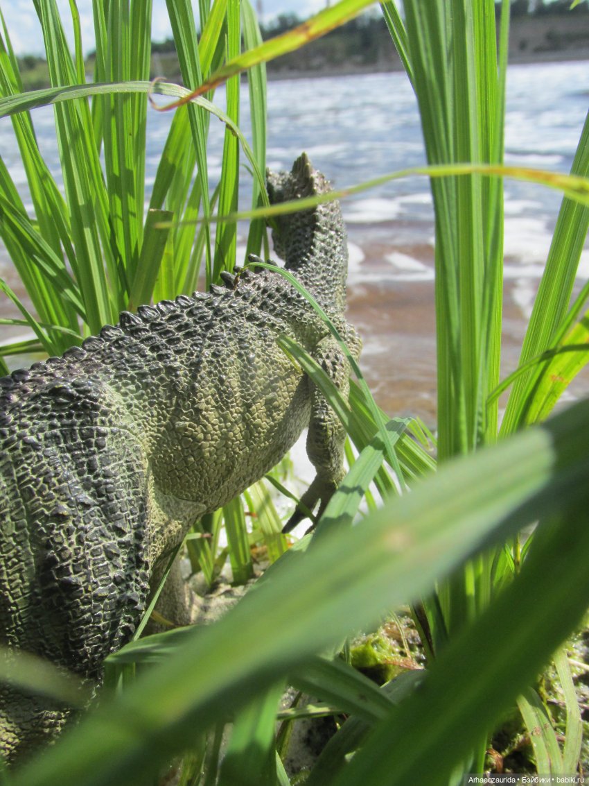 Возвращение в Землю Древних, часть 5: Чужая река (фото 6)