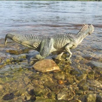 Возвращение в Землю Древних, часть 5: Чужая река