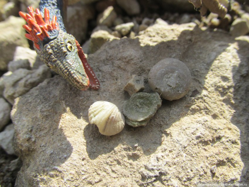 Возвращение в Землю Древних, часть 6: В поисках трилобита (фото 6)