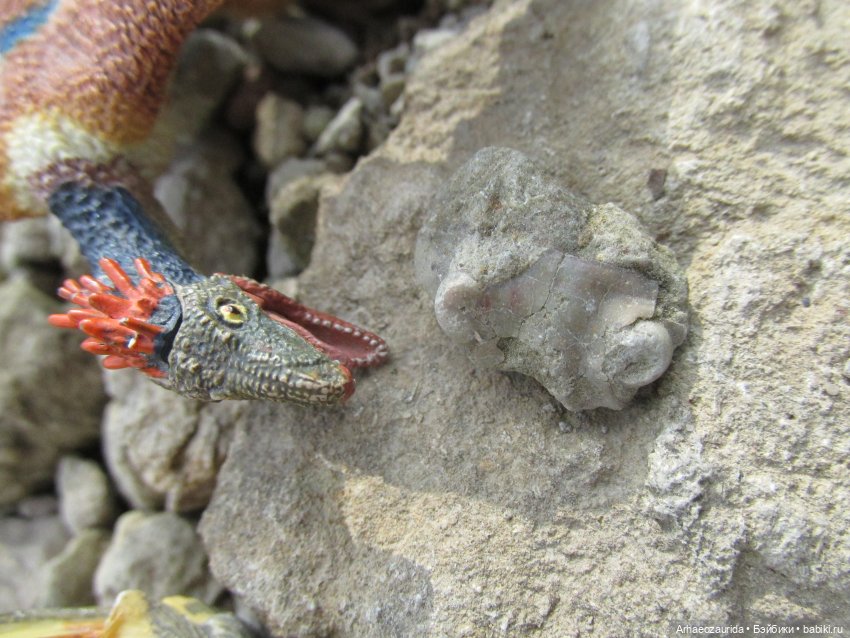 Возвращение в Землю Древних, часть 6: В поисках трилобита