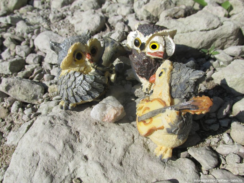 Возвращение в Землю Древних, часть 6: В поисках трилобита (фото 3)