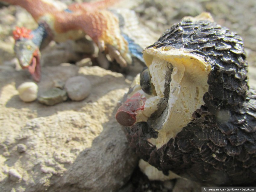 Возвращение в Землю Древних, часть 6: В поисках трилобита (фото 7)