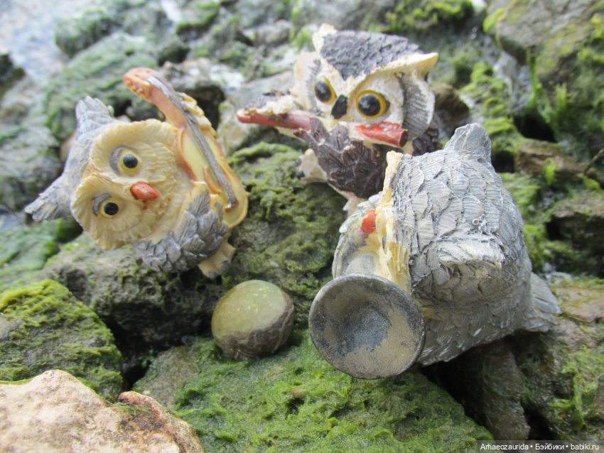 Возвращение в Землю Древних, часть 6: В поисках трилобита