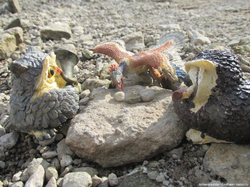 Возвращение в Землю Древних, часть 6: В поисках трилобита (фото 5)