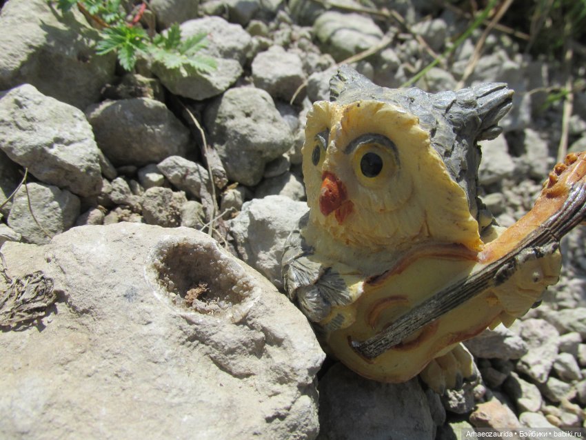 Возвращение в Землю Древних, часть 6: В поисках трилобита (фото 4)