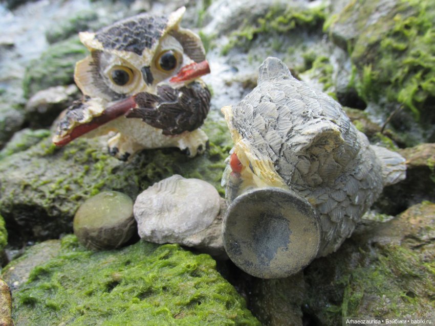 Возвращение в Землю Древних, часть 6: В поисках трилобита