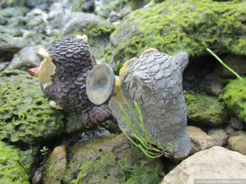 Возвращение в Землю Древних, часть 6: В поисках трилобита