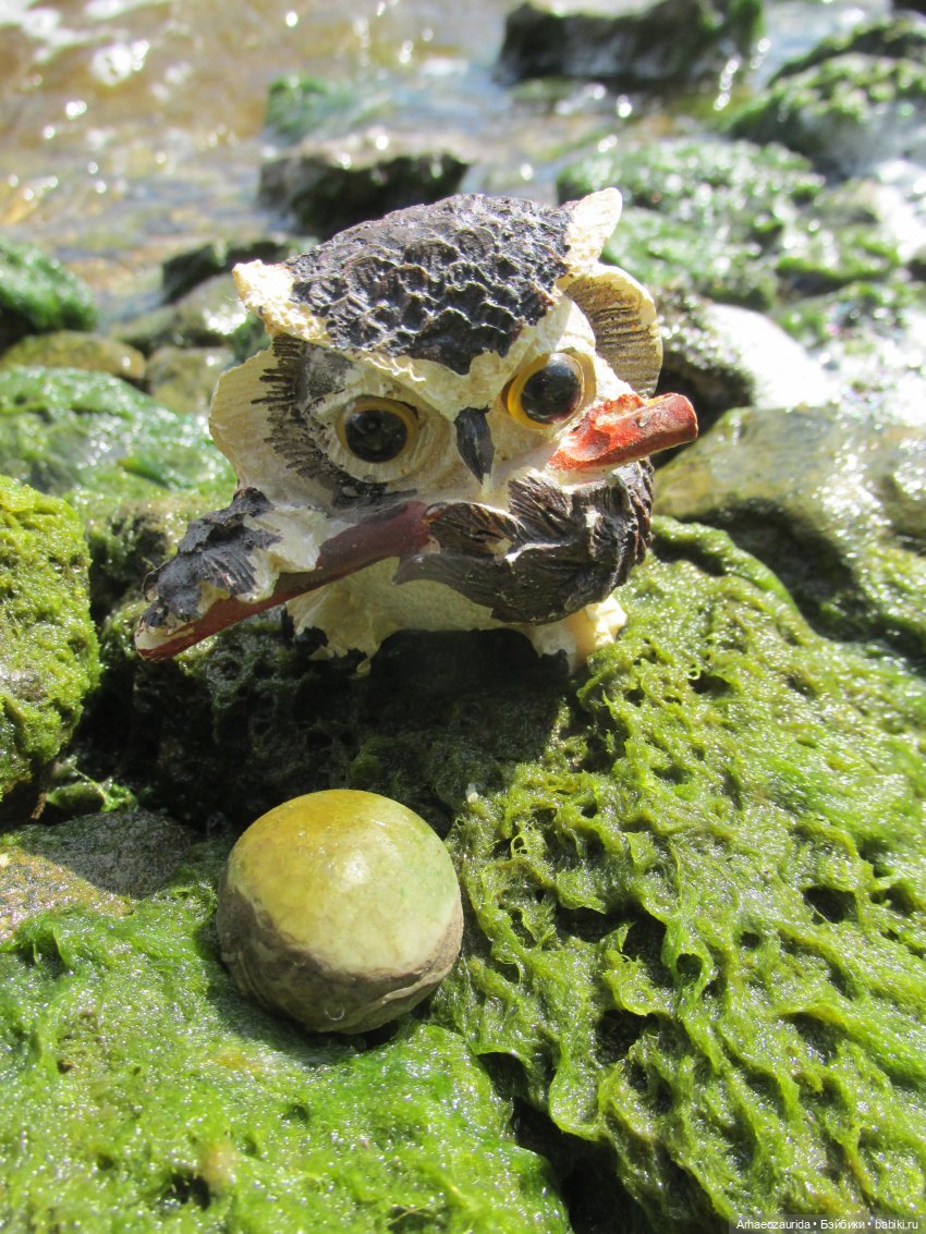 Возвращение в Землю Древних, часть 6: В поисках трилобита