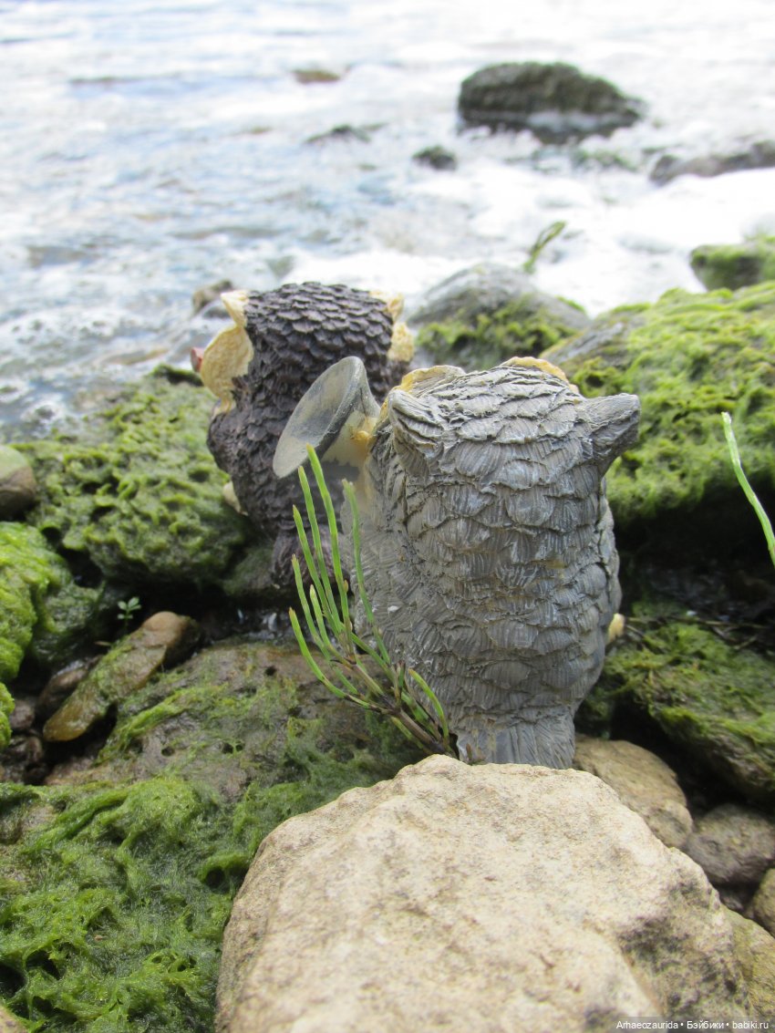 Возвращение в Землю Древних, часть 6: В поисках трилобита