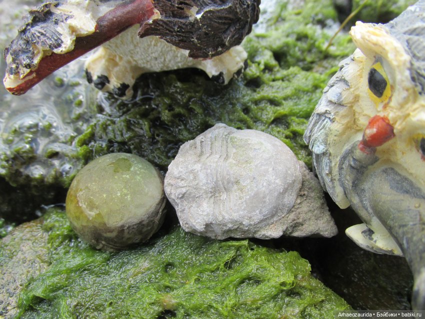 Возвращение в Землю Древних, часть 6: В поисках трилобита